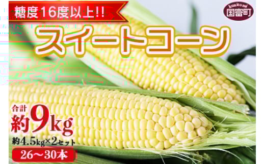 数量限定【2026年発送】<宮崎県産 スイートコーン 約9kg(約4.5kg×2箱)>2026年5月下旬〜6月中旬迄に順次出荷【 先行予約 穀物 野菜 甘い 季節限定 とうもろこし おやつ ご飯 スープ サラダ BB