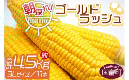 予約受付!<朝採れ!国富町産ゴールドラッシュ4.5kg3L11本>2026年5月下旬〜7月上旬迄に順次出荷【 とうもろこし スイートコーン 先行予約 野菜 穀物 甘い トウモロコシ 季節物 数量限定 と