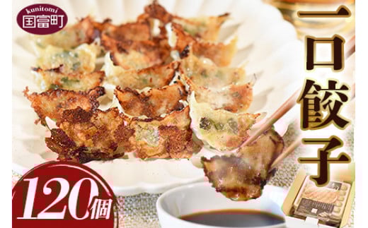 <一口餃子 120個入り>翌月末迄に順次出荷【 餃子 ぎょうざ ギョウザ ギョーザ 宮崎餃子 宮崎 一口餃子 大明神 鶏肉 豚肉 野菜 居酒屋 おつまみ 晩御飯 お供 ビール 焼酎 ハイボール だれや