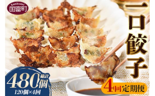 <4回定期便 一口餃子 120個入り(3か月に1回発送)>翌月末迄に順次出荷【 餃子 ぎょうざ ギョウザ ギョーザ 宮崎餃子 宮崎 一口餃子 大明神 鶏肉 豚肉 野菜 居酒屋 おつまみ 晩御飯 お供 ビ