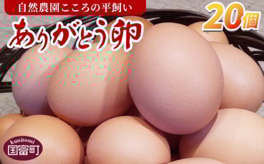 <自然農園「こころ」の平飼い『ありがとう卵』20個(10個×2パック)> 3か月以内に順次出荷【 卵 たまご タマゴ 生卵 ゆでたまご ゆで卵 卵焼き 玉子焼き オムレツ 親子丼 たまごかけご