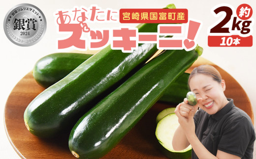 <野菜ソムリエサミット銀賞受賞! あなたにズッキーニ約2kg(10本)>1か月程度で出荷【 野菜 青果 国産 生食 輪切り ソテー サラダ 天ぷら ラタトゥイユ 】宮崎県国富町10000野菜・きのこ