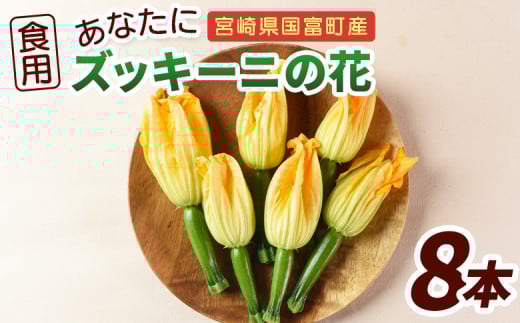 <あなたにズッキーニの花 8個>1か月程度で出荷【 野菜 青果 国産 料理 アレンジ 天ぷら 】宮崎県国富町11000野菜・きのこその他 野菜