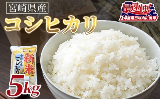 <令和7年度産新米 宮崎県産コシヒカリ 5kg>14営業日以内に順次出荷【 国産 米 お米 最速便 白米 精米 こしひかり ごはん ご飯 白飯 食品 】宮崎県国富町18000米・パン白米