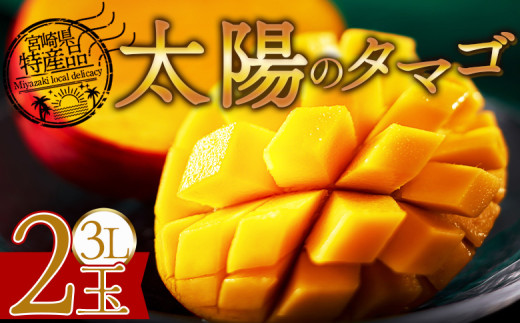 期間限定 【先行予約 2026年発送】<宮崎県産 太陽のタマゴ 3L×2個>2026年5月初旬〜7月末迄に順次出荷【選べる 完熟マンゴー 糖度15度 内容量 数量 サイズ 大きさ 濃厚 フルーツ 果物 トロピ