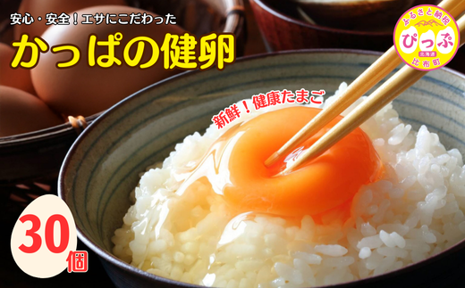 かっぱの健卵 30個入り【大熊養鶏場】たまご 卵 玉子 タマゴ 生卵 こだわり 卵かけご飯 TKG 国産 お取り寄せ 北海道 比布町 ぴっぷ 1006-003北海道比布町7500卵・乳製品卵(鶏、烏骨鶏等)