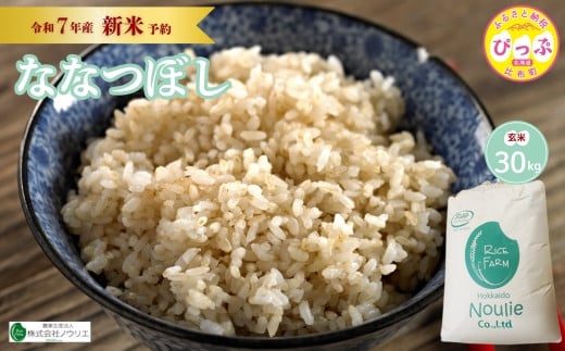 2025年産 先行受付【農業生産法人ノウリエ】北海道産 ななつぼし 玄米 30kg【10月から11月上旬発送】米 お米 北海道米 特Aランク 国産 コメ 北海道 比布町 ぴっぷ 1017-016北海道比布町73000米・パ