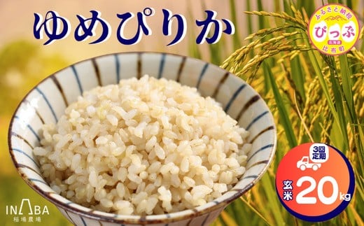 ゆめぴりか 玄米 20kg 3回 定期便【稲場農場】【2025年産 先行受付】米 お米 北海道米 特Aランク 国産 白米 コメ 北海道 比布町 ぴっぷ 1024-010北海道比布町159000米・パン白米