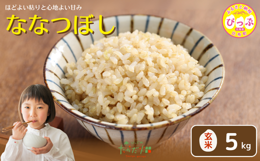 令和7年産 新米 ななつぼし 玄米 5kg【たかだ畑】 米 お米 北海道米 特Aランク 国産 玄米 コメ 2025年産 北海道 比布町 ぴっぷ 1018-014北海道比布町14000米・パン玄米・雑穀米・もち米・餅