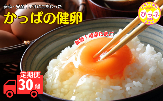かっぱの健卵 30個 3か月定期便【大熊養鶏場】たまご 卵 玉子 タマゴ 生卵 こだわり 卵かけご飯 TKG 国産 お取り寄せ 北海道 比布町 ぴっぷ 1006-006北海道比布町22500卵・乳製品卵(鶏、烏骨鶏
