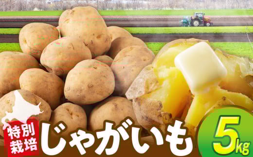 R7NYst Ⴊ 5kg ʍ͔|ij݁j | kCÕʒkCÕʒ6000؁ÊႪEC