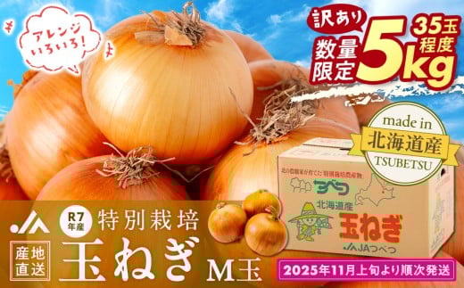 【訳あり】数量限定 特別栽培玉ねぎ M玉 5kg | 北海道津別町北海道津別町4200野菜・きのこ玉ねぎ・ねぎ