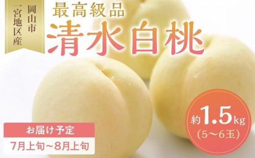  2026N   5`6ʓ 1.5kg Rs{nY   t[c ʕ MtgRRs45000ʕEt[cE