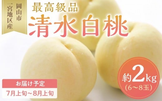 桃 2026年 清水 白桃 6〜8玉入 約2.0kg 岡山市一宮地区産 もも モモ フルーツ 果物 ギフト岡山県岡山市55000果物・フルーツもも・すもも