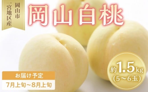 桃 2026年 岡山 白桃 5〜6玉入 約1.5kg 岡山市一宮地区産 もも モモ フルーツ 果物 ギフト岡山県岡山市41000果物・フルーツもも・すもも