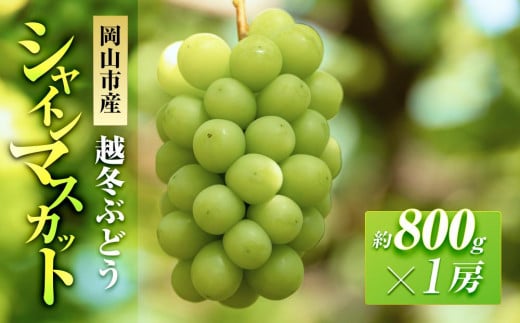 ܉ʉ z~Ԃǂ VC}XJbg 1[i1[800gj | t[c ʕ  VC}XJbg }XJbg RY Y Mtg p v[g 蕨 VC}XJbg }X