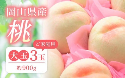 桃 2026年 ご家庭用 おかやま の 桃 大玉 3玉(合計約900g)【桃 もも 岡山県産 国産 フルーツ 果物 新鮮 おすすめ 人気 岡山県 岡山市 国産 大玉 】岡山県岡山市12000果物・フルーツもも・すも