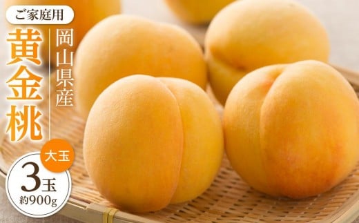 桃 2026年 ご家庭用 おかやま の 黄金桃 大玉 3玉(合計約900g)【黄金桃 おうごんとう 桃 もも 岡山県産 国産 フルーツ 果物 新鮮 おすすめ 人気 岡山県 岡山市 国産 大玉 】岡山県岡山市11000果