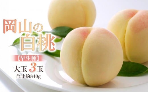桃 2026年 岡山の 白桃 大玉3玉 早生種 合計約840g 【白桃 桃 もも 岡山県産 国産 フルーツ 果物 新鮮 おすすめ 人気 岡山県 岡山市 国産  ギフト 大玉】岡山県岡山市18000果物・フルーツもも・す