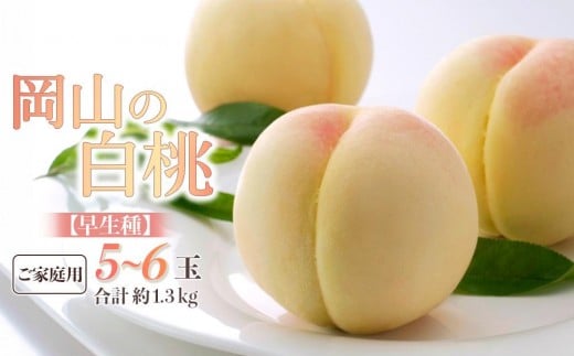桃 2026年 ご家庭用 岡山の 白桃 早生種 5〜6玉 合計約1.3kg 【家庭用 白桃 桃 もも 岡山県産 国産 フルーツ 果物 新鮮 おすすめ 人気 岡山県 岡山市 国産 】岡山県岡山市17000果物・フルーツもも