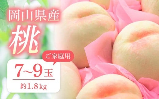 桃 2026年 ご家庭用 おかやま の 桃 約1.8kg(7〜9玉) 【桃 もも 岡山県産 国産 フルーツ 果物 新鮮 おすすめ 人気 岡山県 岡山市 国産 】岡山県岡山市22000果物・フルーツもも・すもも