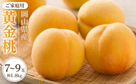 桃 2026年 ご家庭用 おかやま の 黄金桃 約1.8kg(7〜9玉)【黄金桃 おうごんとう 桃 もも 岡山県産 国産 フルーツ 果物 新鮮 おすすめ 人気 岡山県 岡山市 国産 】岡山県岡山市21000果物・フルー