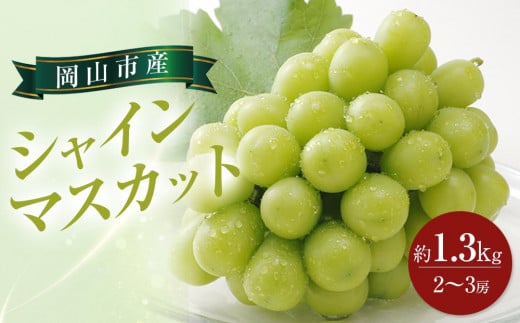 ぶどう 2026年 シャイン マスカット約1.3kg 2〜3房 ブドウ 葡萄  岡山市産 国産 フルーツ 果物 ギフト岡山県岡山市28000果物・フルーツマスカット・ぶどう
