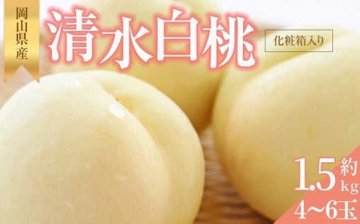 桃 2026年 清水 白桃 約1.5kg 4~6玉 もも モモ 岡山県産 国産 フルーツ 果物 ギフト 横木農園岡山県岡山市30000果物・フルーツもも・すもも