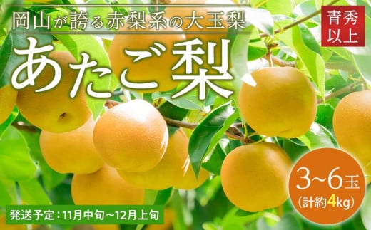 梨 2025年  あたご梨 青秀クラス以上 3〜6玉 約4kg  なし ナシ 岡山県産 国産 フルーツ 果物 ギフト岡山県岡山市27000果物・フルーツりんご・梨