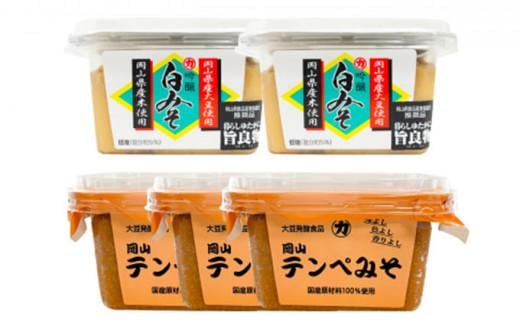 【セット】 岡山テンペみそ 300g×3個 吟醸白みそ300g×2個岡山県岡山市11000調味料・油味噌