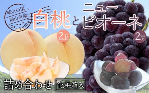 桃 ぶどう 2026年 果物詰合せ 白桃 2玉(1玉200g以上) ニュー ピオーネ 2房(合計約940g)化粧箱入り もも 葡萄 岡山県産 国産 フルーツ ギフト岡山県岡山市25000果物・フルーツもも・すもも