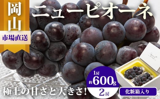 ぶどう 2026年  ニュー ピオーネ 2房(1房600g以上)化粧箱入り ブドウ 葡萄  岡山県産 国産 フルーツ 果物 ギフト岡山県岡山市19000果物・フルーツマスカット・ぶどう