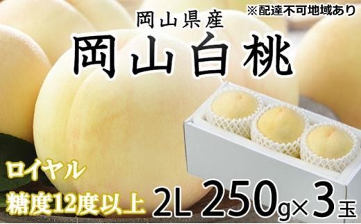 桃 2026年 岡山 白桃 ロイヤル 3玉×約250g(2Lサイズ)JAおかやまのもも(早生種・中生種) もも モモ 岡山県産 国産 フルーツ 果物 ギフト岡山県岡山市18000果物・フルーツもも・すもも