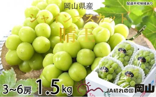 ぶどう 2026年  シャイン マスカット 晴王 3房〜6房 約1.5kg ブドウ 葡萄  岡山県産 国産 フルーツ 果物 ギフト岡山県岡山市35000果物・フルーツマスカット・ぶどう