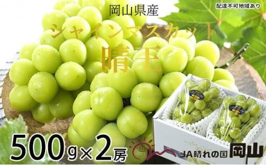 ぶどう 2026年  シャイン マスカット 晴王 約500g×2房 ブドウ 葡萄  岡山県産 国産 フルーツ 果物 ギフト岡山県岡山市29000果物・フルーツマスカット・ぶどう