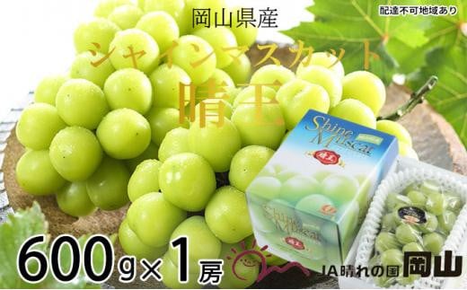 ぶどう 2026年  シャイン マスカット 晴王 約600g×1房 ブドウ 葡萄  岡山県産 国産 フルーツ 果物 ギフト岡山県岡山市18000果物・フルーツマスカット・ぶどう