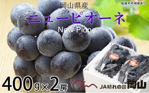 Ԃǂ 2026N  j[ sI[l 400g×2[ uhE   RY Y t[c ʕ MtgRRs15000ʕEt[c}XJbgEԂǂ