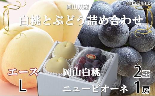 桃 ぶどう 2026年 岡山 白桃 エース 2玉×約200g(Lサイズ、早生種・中生種)ニュー ピオーネ 1房約400g 詰め合わせ 岡山県産 フルーツ岡山県岡山市15000果物・フルーツその他 果物・フルーツ