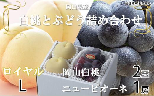 桃 ぶどう 2026年 岡山 白桃 ロイヤル 2玉×約200g(Lサイズ、早生種・中生種)ニュー ピオーネ 1房約400g 詰め合わせ 岡山県産 フルーツ岡山県岡山市20000果物・フルーツその他 果物・フルーツ
