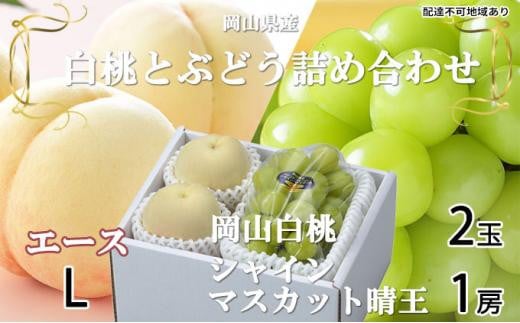 桃 ぶどう 2026年 岡山 白桃 エース 2玉×約200g(Lサイズ、早生種・中生種) シャイン マスカット 晴王 1房約400g 詰め合わせ 岡山県産 フルーツ岡山県岡山市20000果物・フルーツその他 果物・フ