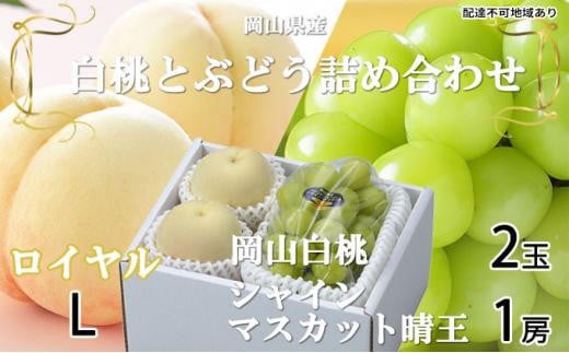 桃 ぶどう 2026年 岡山 白桃 ロイヤル 2玉×約200g(Lサイズ、早生種・中生種) シャイン マスカット 晴王 1房約400g 詰め合わせ 岡山県産 フルーツ岡山県岡山市25000果物・フルーツその他 果物・