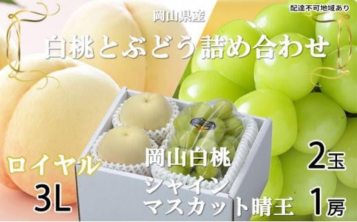 桃 ぶどう 2026年 岡山白桃 ロイヤル 2玉×約300g(3Lサイズ、早生種・中生種)シャインマスカット 晴王 1房約600g 詰め合わせ 岡山県産 フルーツ岡山県岡山市35000果物・フルーツその他 果物・
