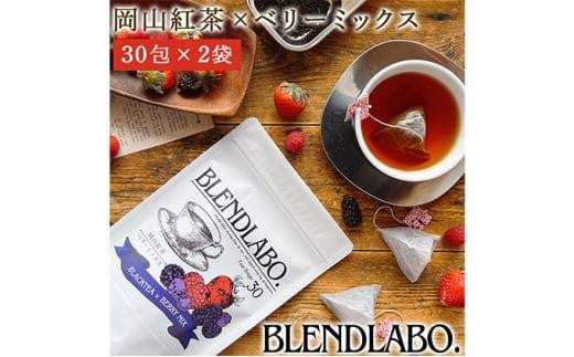 ӂ t[o[eB[ Rg×x[~bNX eB[obO 2.5g×60RRs10000ER[q[Eg