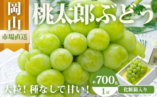 ぶどう 2026年  桃太郎 ぶどう 1房(700g以上)化粧箱入り ブドウ 葡萄  岡山県産 国産 フルーツ 果物 ギフト岡山県岡山市24000果物・フルーツマスカット・ぶどう