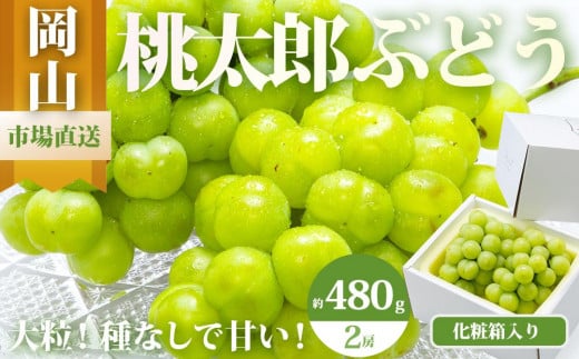 ぶどう 2026年 桃太郎 ぶどう 2房(1房480g以上)化粧箱入り ブドウ 葡萄  岡山県産 国産 フルーツ 果物 ギフト岡山県岡山市30000果物・フルーツマスカット・ぶどう