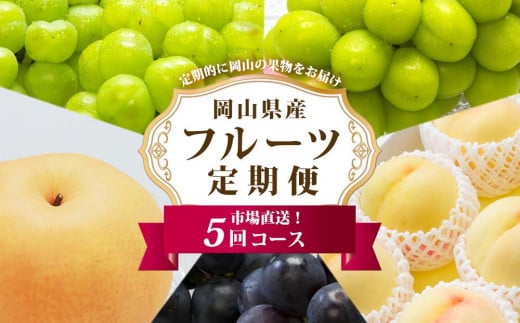 フルーツ 定期便 2026年 フルーツ王国 岡山を堪能 5回コース 桃 もも 葡萄 ぶどう 梨 なし岡山県産 国産 果物 セット ギフト岡山県岡山市129000果物・フルーツもも・すもも