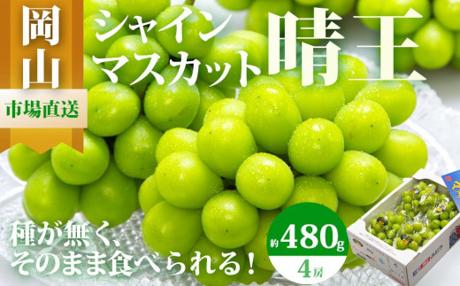 ぶどう 2026年  シャイン マスカット 晴王 4房(1房480g以上)約2kg マスカット ブドウ 葡萄  岡山県産 国産 フルーツ 果物 ギフト岡山県岡山市50000果物・フルーツマスカット・ぶどう