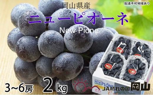 ぶどう 2026年  ニュー ピオーネ 3房〜6房 約2kg ブドウ 葡萄  岡山県産 国産 フルーツ 果物 ギフト岡山県岡山市21000果物・フルーツマスカット・ぶどう