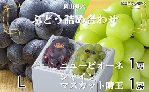 ぶどう 2026年 ニュー ピオーネ 1房 約400g  シャイン マスカット 晴王 1房 約400g 詰め合わせ ブドウ 葡萄  岡山県産 国産 フルーツ 果物 ギフト岡山県岡山市18000果物・フルーツマスカット・ぶど
