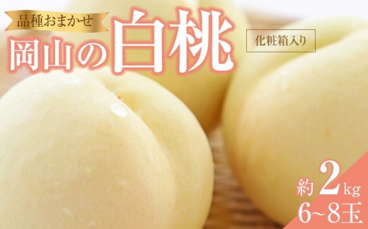桃 2026年 岡山の 白桃 (早生、中生種)約2.0kg 6〜8玉 もも モモ 岡山県産 国産 フルーツ 果物 ギフト 横木農園岡山県岡山市39000果物・フルーツもも・すもも